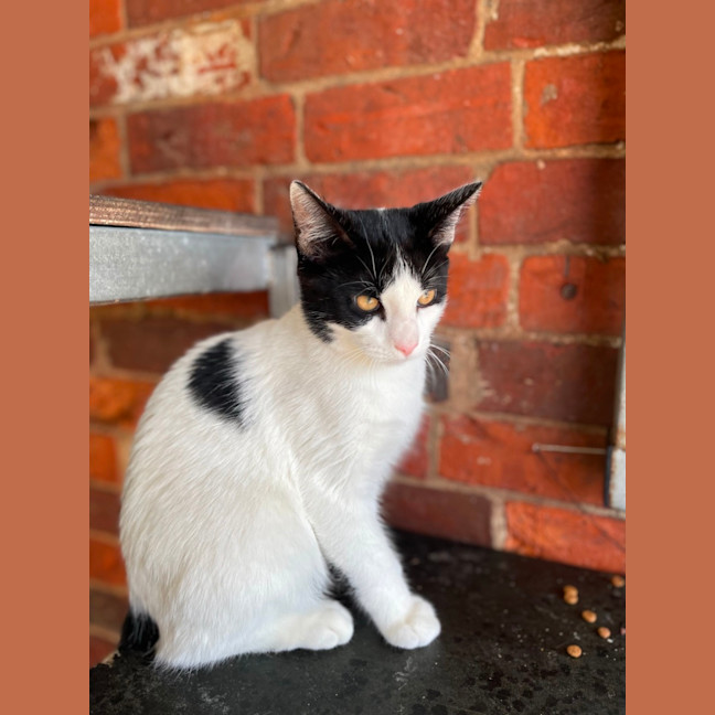 Photo of Nell 