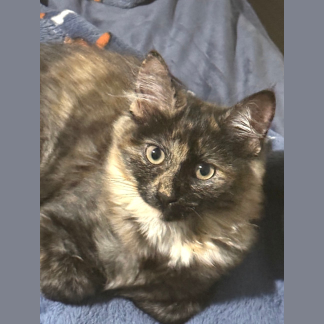 Photo of Lettie