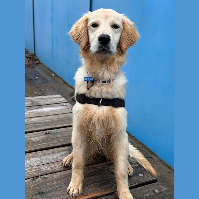 Photo of Pearl Woofster