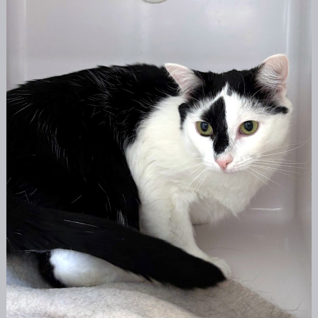 Photo of Milo Sta012316