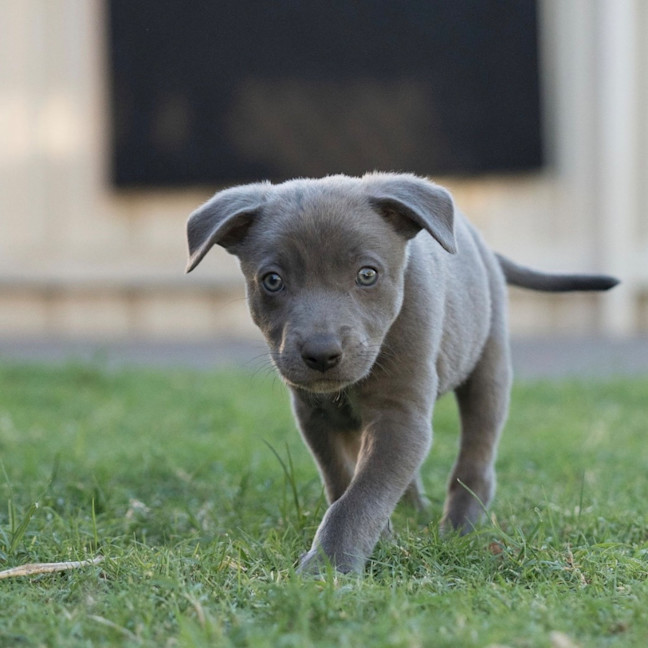 Photo of Storm