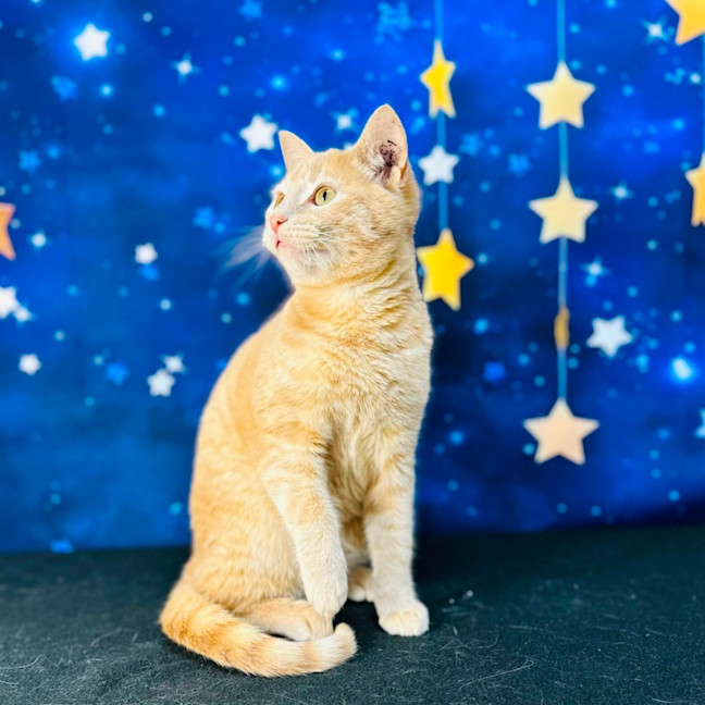 Photo of Russ (Located In Preston) 