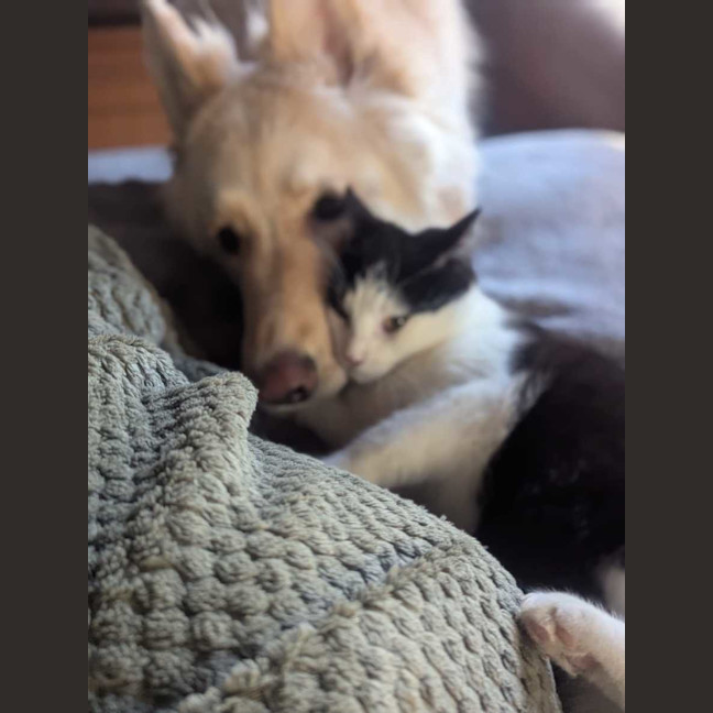 Photo of Emilia & Jade