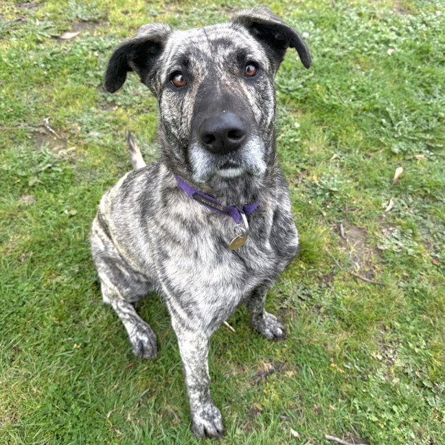Photo of Zelda