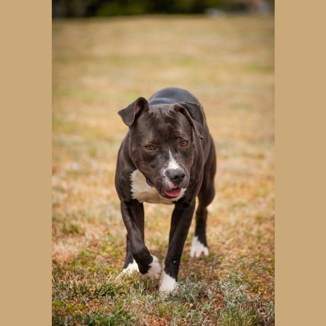 Photo of Penelope