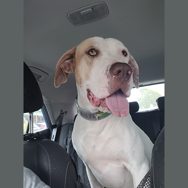 Photo of Mackalicious