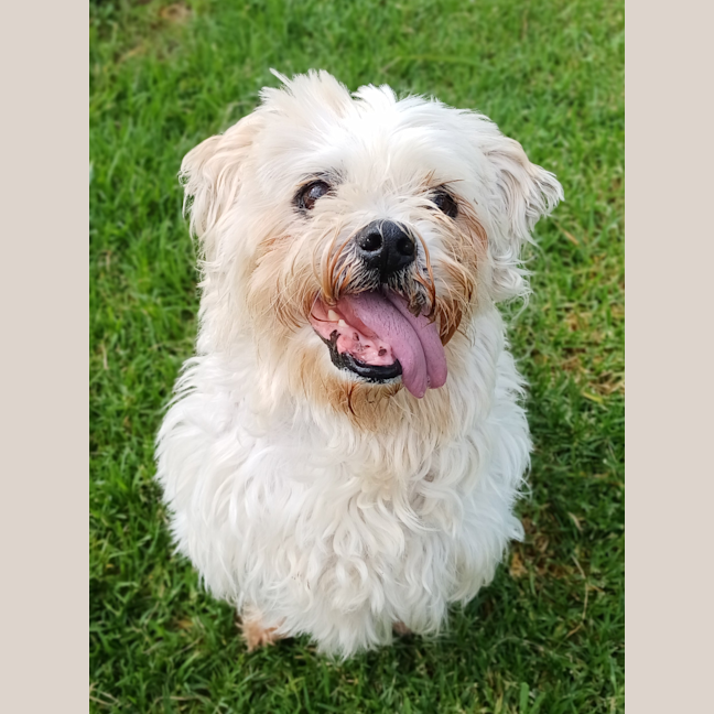 Photo of Brite 