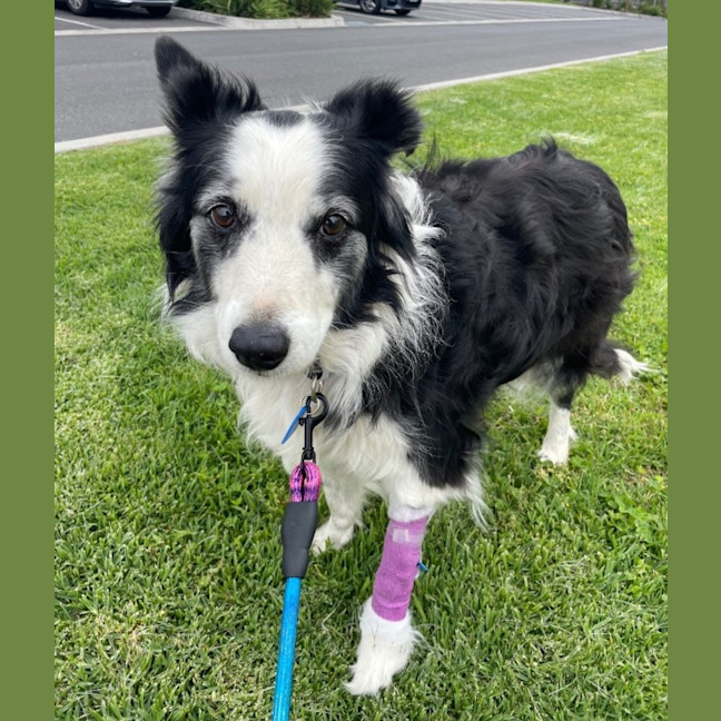 Photo of Zoe