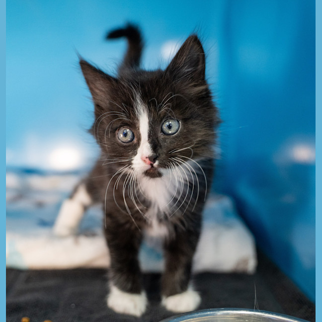 Photo of Stormy