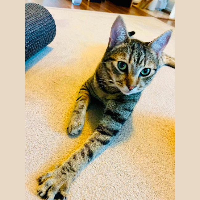 Photo of Ferris & Felix