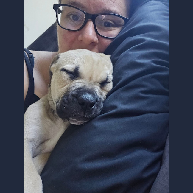 Photo of Admiral Albert