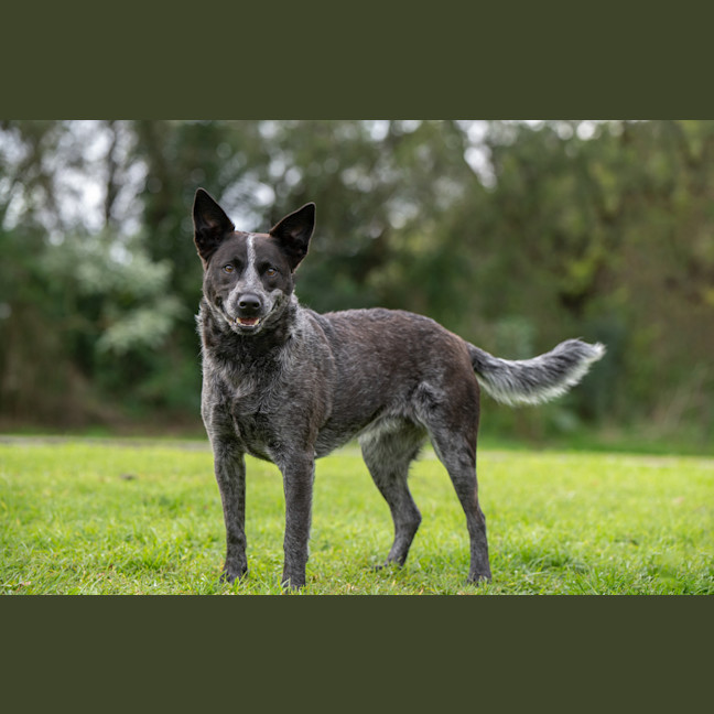 Photo of Tia