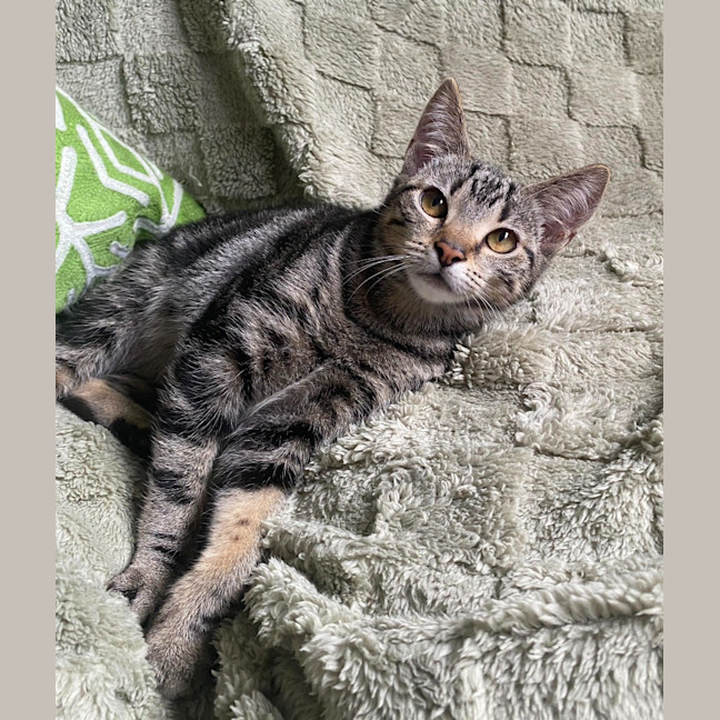 Photo of Winnie