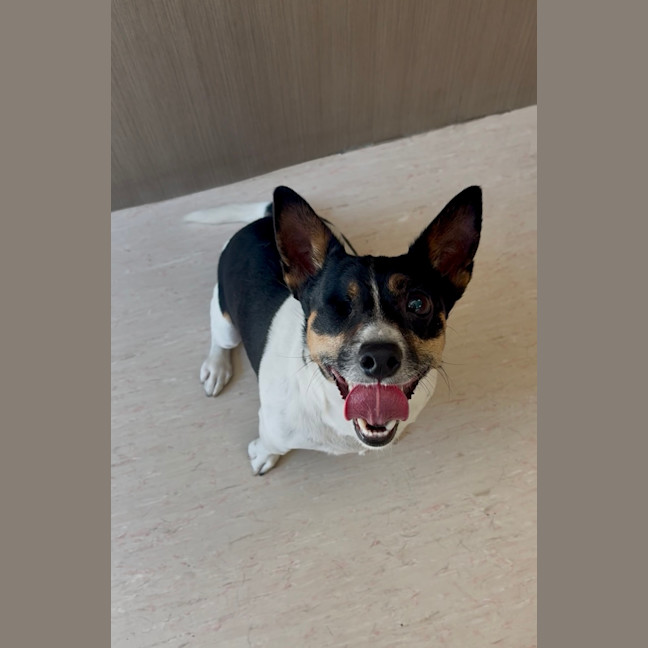 Photo of Jimmy + Sonny