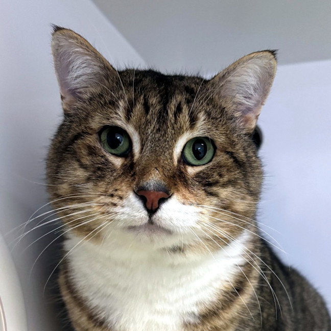 Photo of Sammy Sta013142