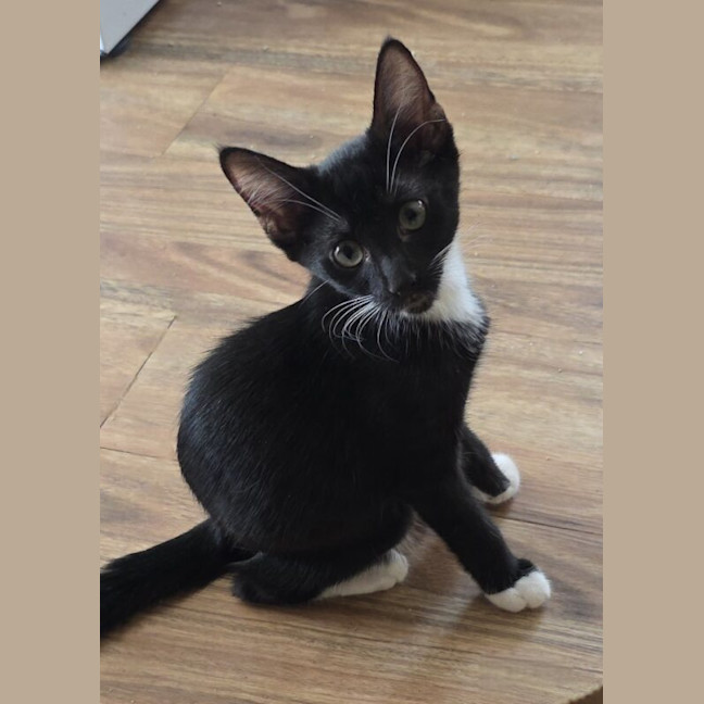 Photo of Wally