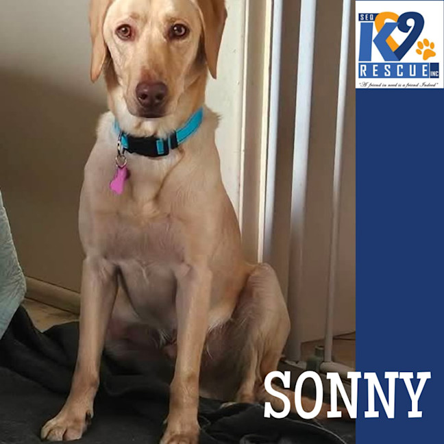 Photo of Sonny