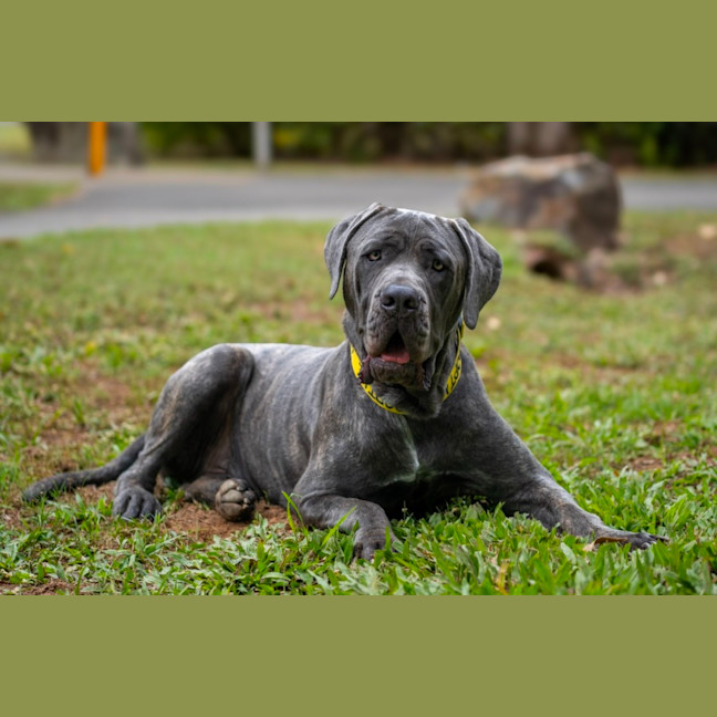 Photo of Zeus