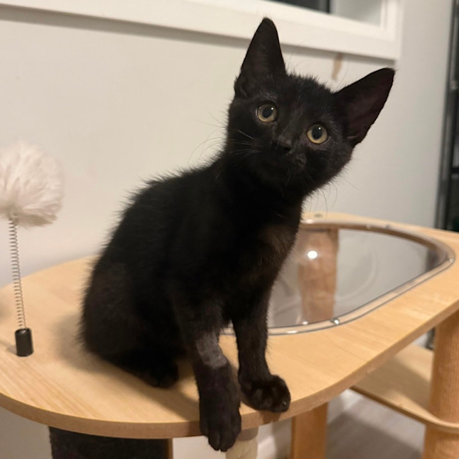 Photo of Elliott 🥥