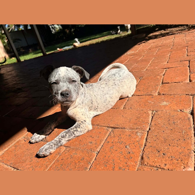 Photo of Sally