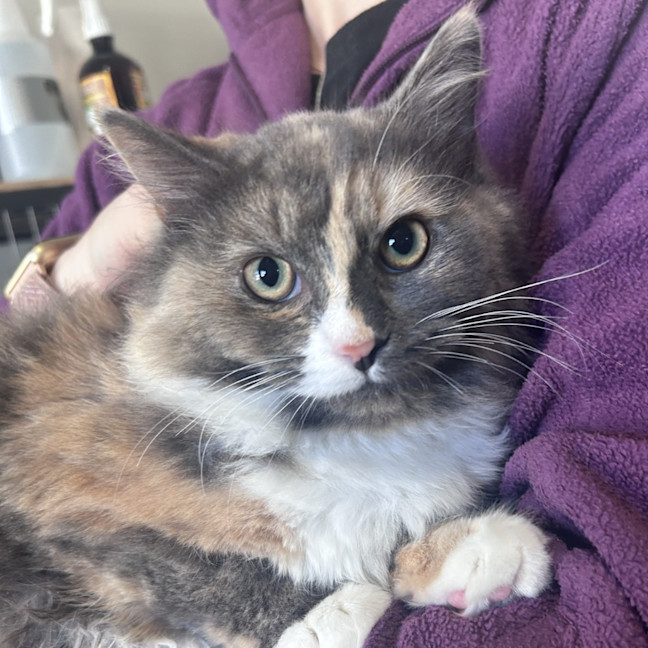 Photo of Elara