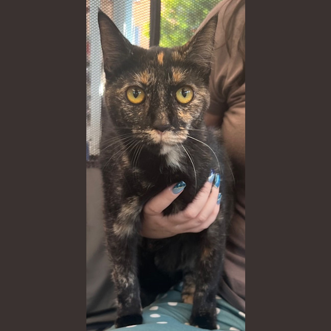 Photo of Sooty