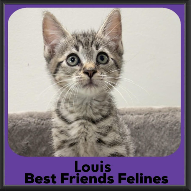 Photo of Louis