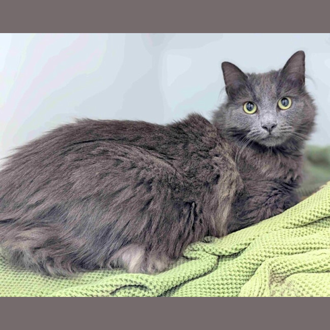 Photo of Minnie