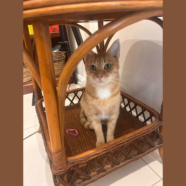 Photo of Ginny