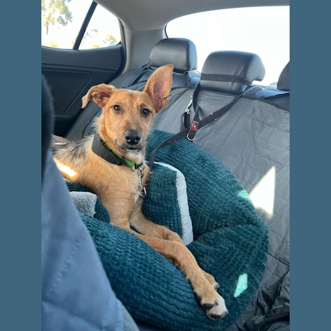 Photo of Reginald