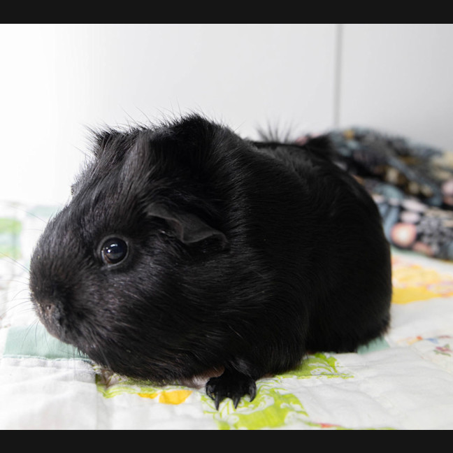Photo of Matilda