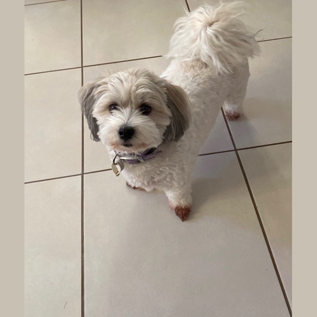 Photo of Millie