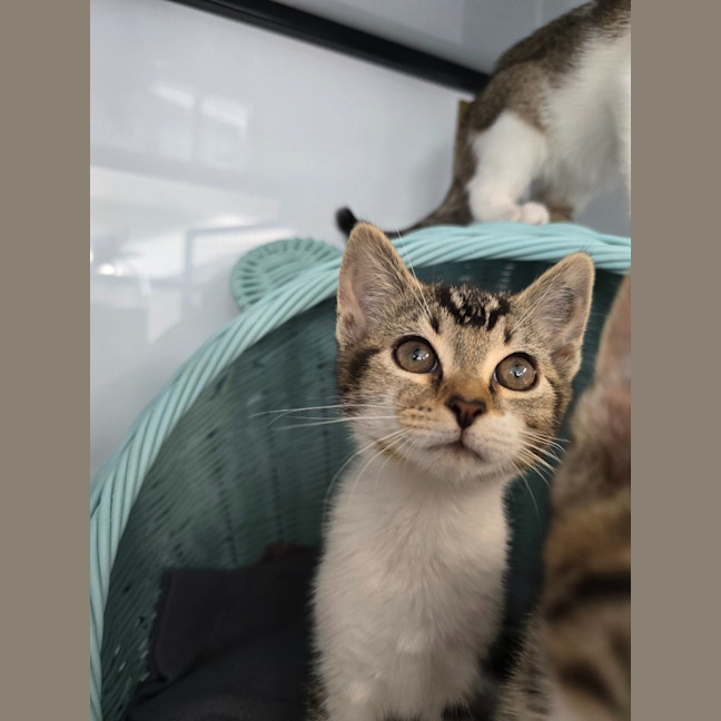 Photo of Steph   Burnie