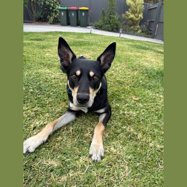 Photo of Spencer