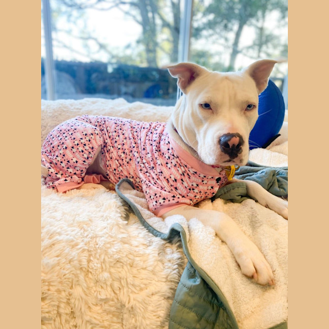 Photo of Grace