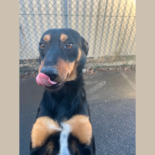 Photo of Pirate Jeff