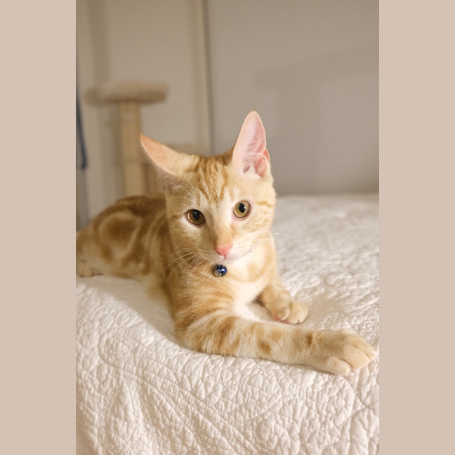 Photo of Winston