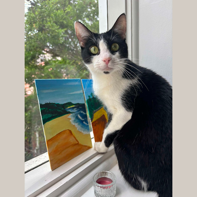 Photo of Turtle & Sylvester 