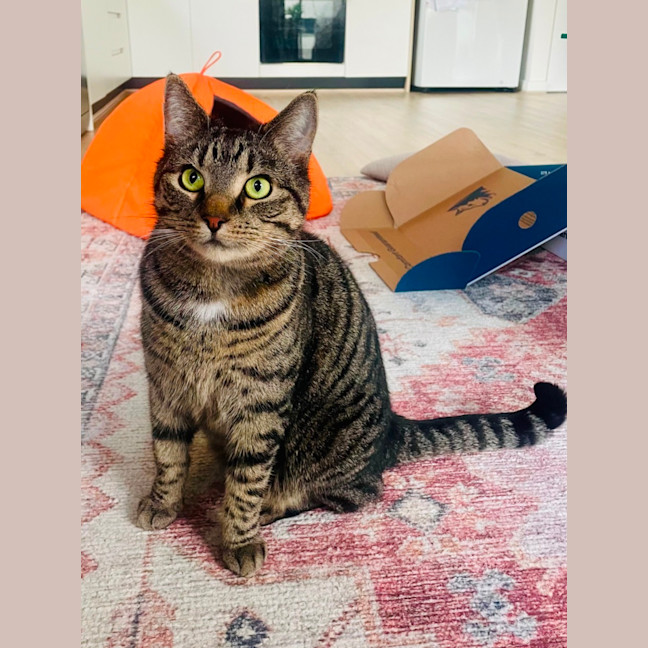 Photo of Jude