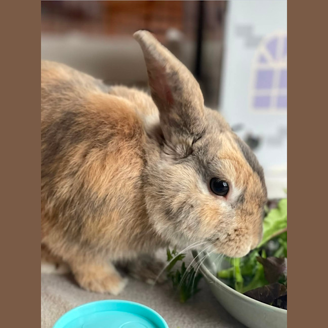 Photo of Monty