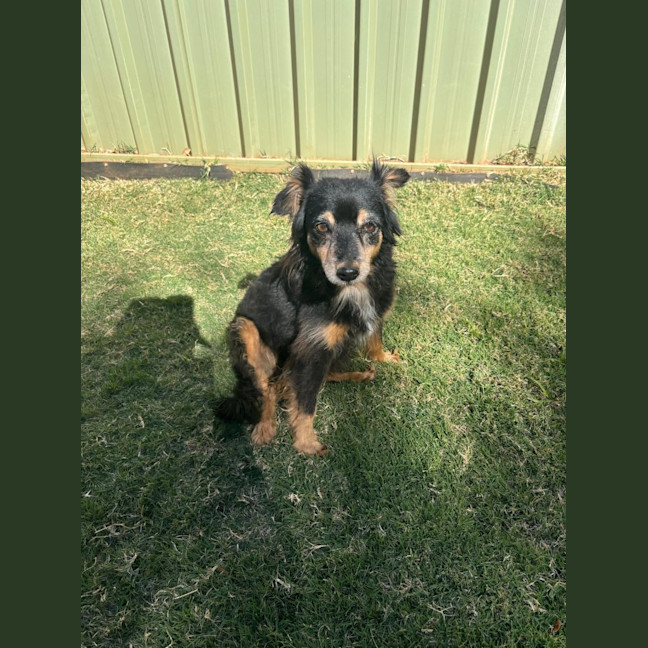 Photo of Rolo