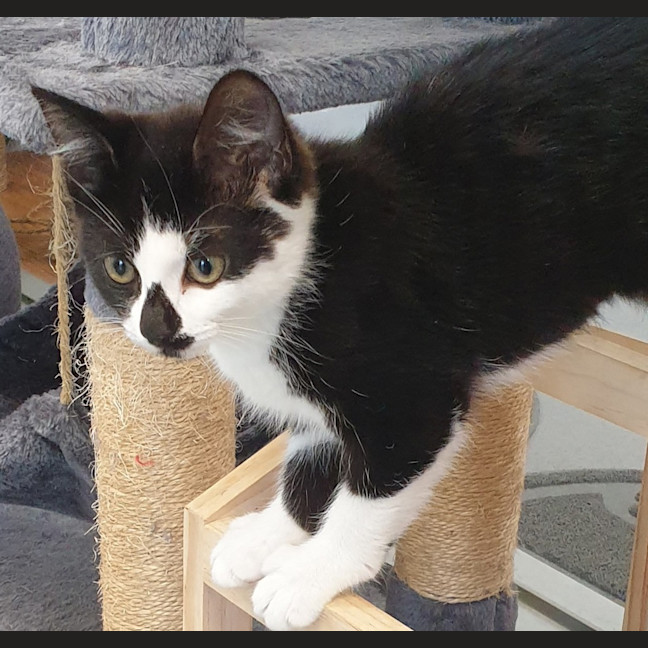 Photo of Lulu