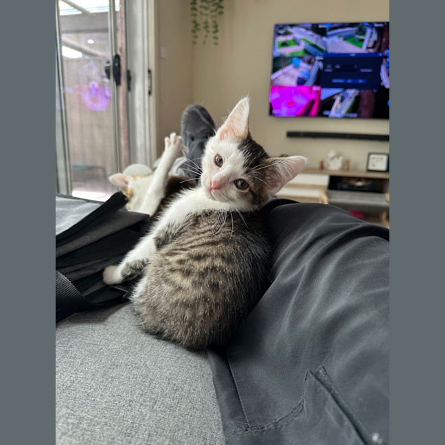 Photo of Bill