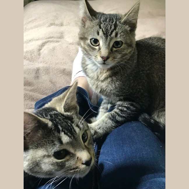 Photo of Billy And Oliver