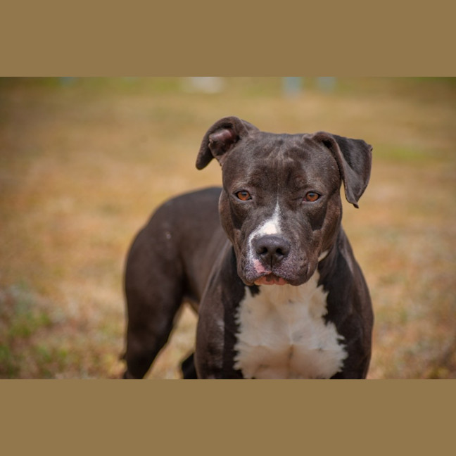 Photo of Penelope