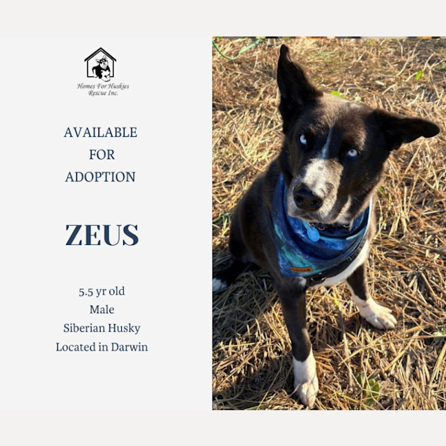 Photo of Zeus