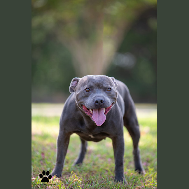 Photo of Zeus