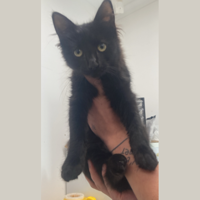 Photo of Loveheart Pasta