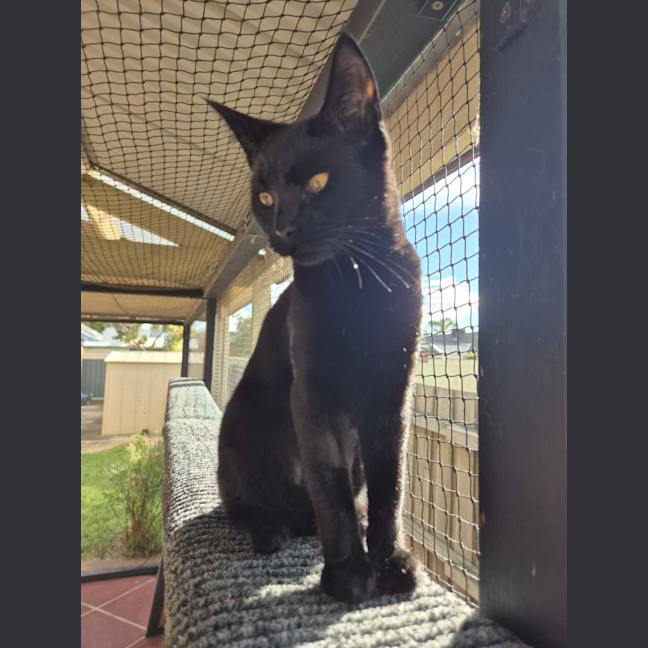 Photo of Velma