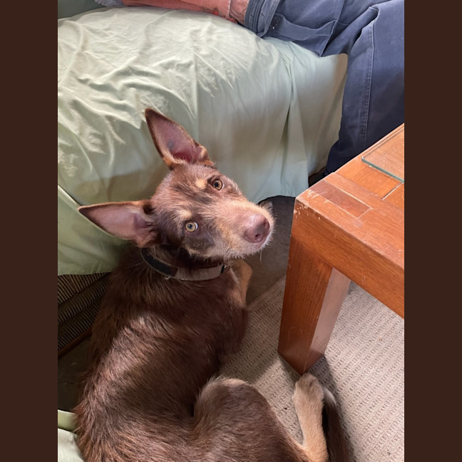 Photo of Lenny